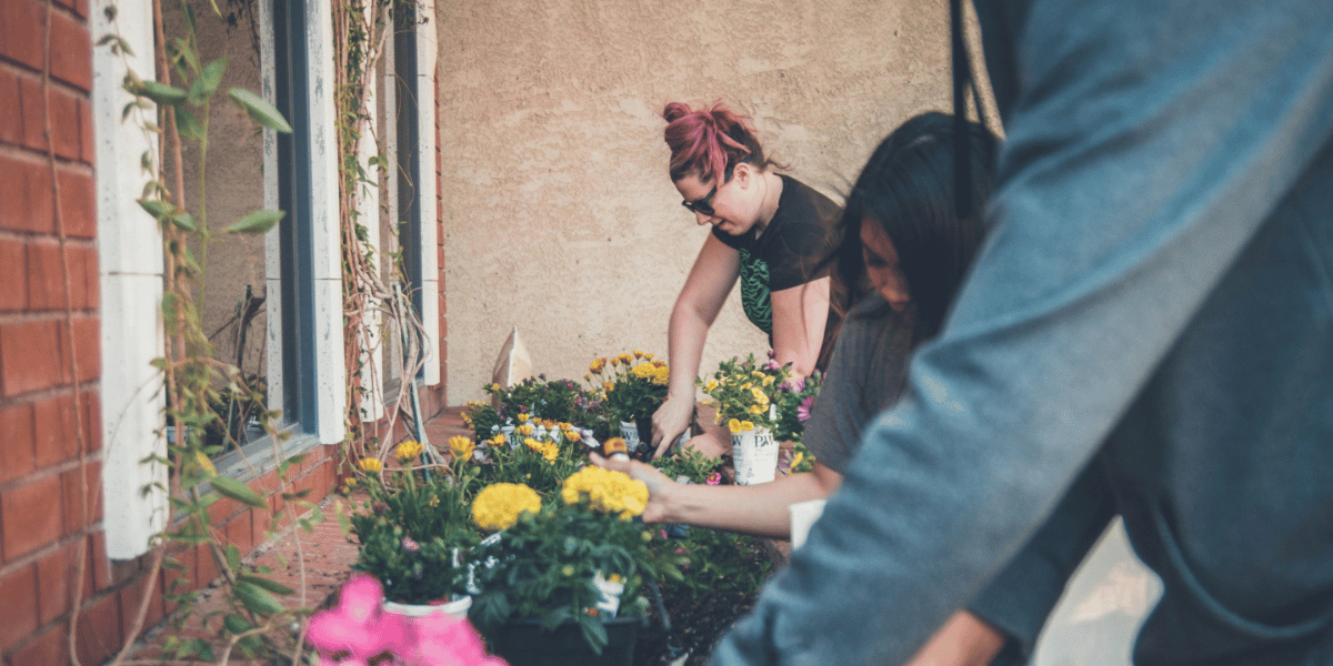 Three people are working together to plant flowers in a garden bed next to a brick building. 